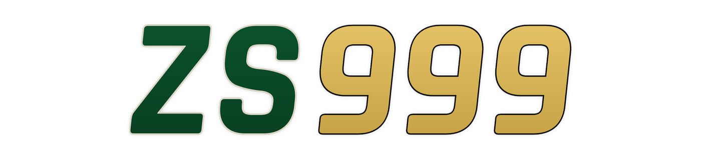 zs999